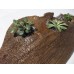 Driftwood House Planter for air plants, succulents, cactus - LARGE and SEALED    263606572519